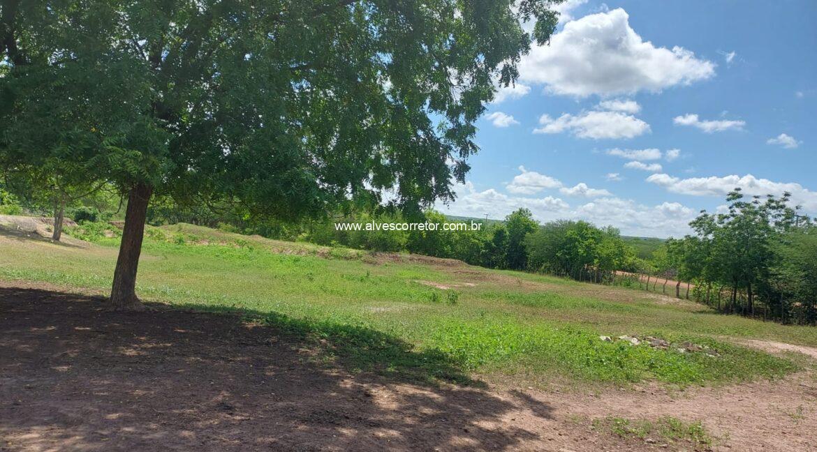 WhatsApp Image 2026-03-13 at 21.33.27 (1)