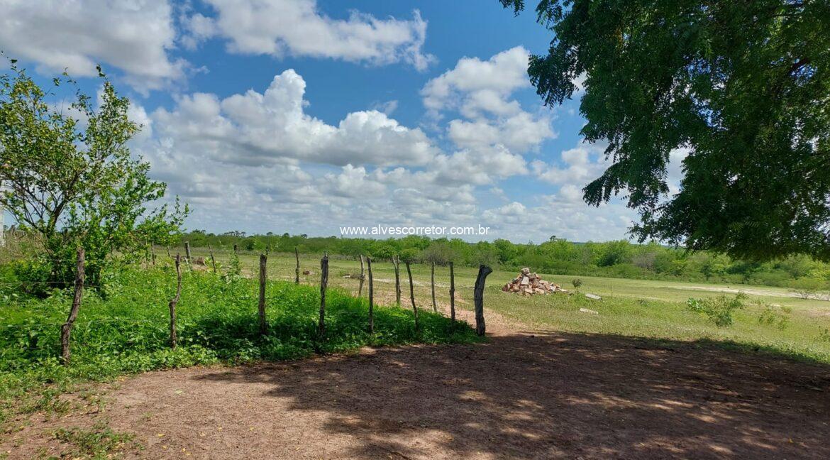 WhatsApp Image 2026-03-13 at 21.33.27 (2)