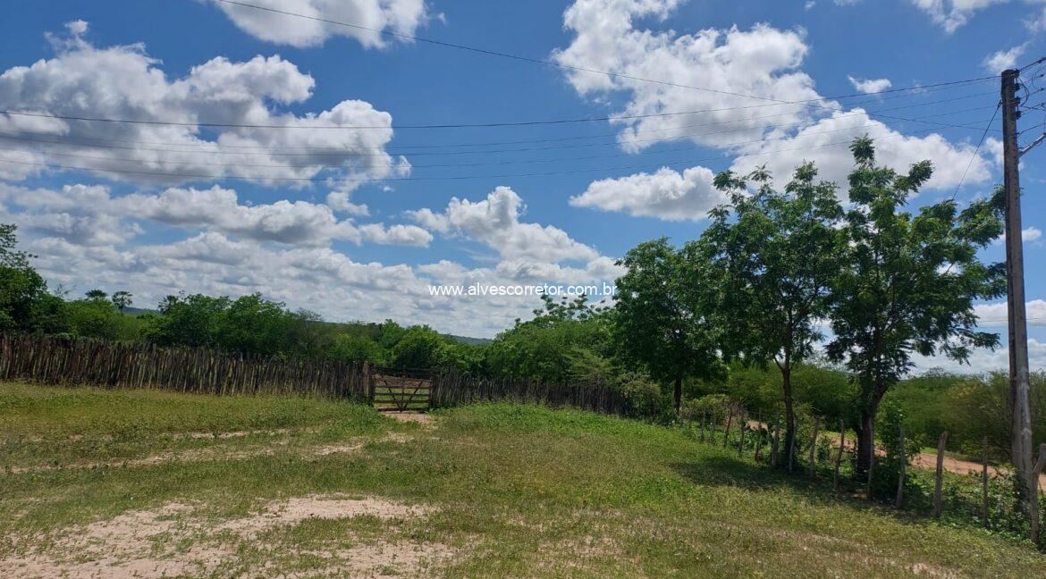 WhatsApp Image 2026-03-13 at 21.33.27 (3)